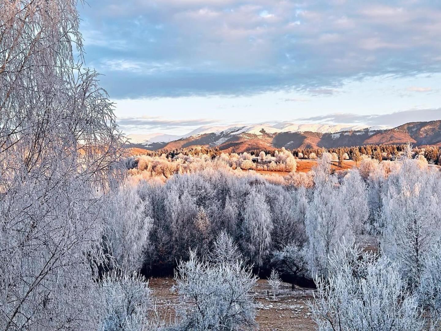 Pensiunea Gradina Ascunsa Bughea de Jos ภายนอก รูปภาพ