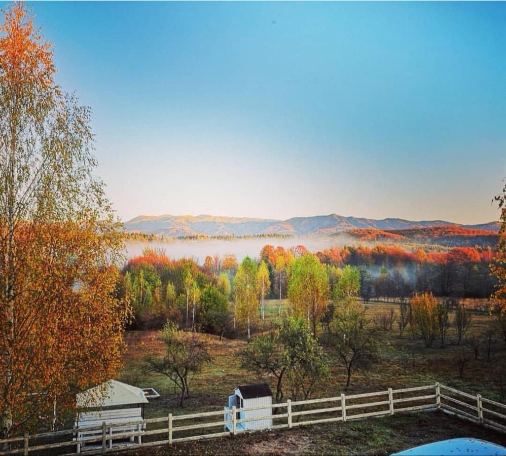 Pensiunea Gradina Ascunsa Bughea de Jos ภายนอก รูปภาพ