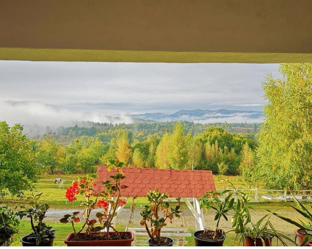 Pensiunea Gradina Ascunsa Bughea de Jos ภายนอก รูปภาพ